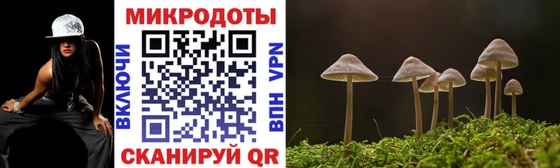 что такое наркотик Ефремов Псилоцибиновые грибы мицелий