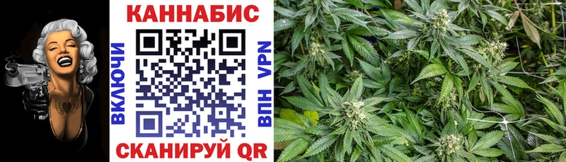 наркотики  Ефремов  Шишки марихуана Ganja 
